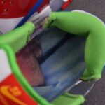 (BEST) Nike SB Dunk Low ‘SANDY BODECKER’