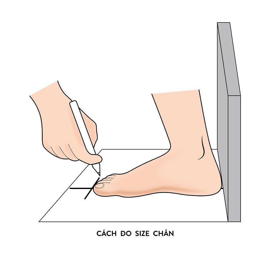 Cách đo bàn chân chọn size giày chuẩn không cần chỉnh