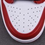 (BEST) Nike SB Dunk Low J-Pack ‘CHICAGO’