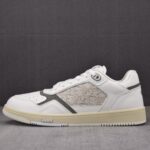 (BEST) OFF-WHITE x Dior B27 White Oblique Jacquard