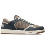 Dior B27 Low Brown and Deep Gray