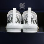 (BEST) Dior B23 x Kaws Low Top ‘Logo Oblique’