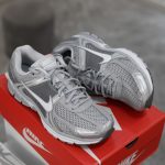 (BEST) Nike Zoom Vomero 5 'COOL GREY'