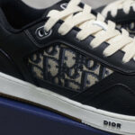 Dior B27 Low Black Beige