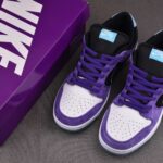(BEST) Nike SB Dunk Low ‘Hayley Wilson’