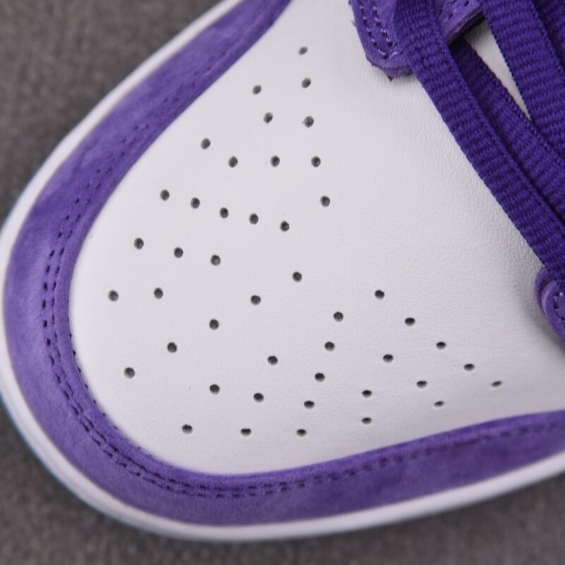 (BEST) Nike SB Dunk Low ‘Hayley Wilson’