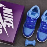 (BEST) Nike SB Dunk Low Pro 'BLUE RASPBERRY'