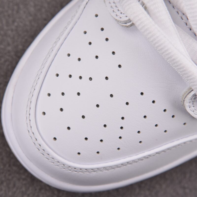 (BEST) Nike SB Dunk Low Pro 'WHITE GUM'