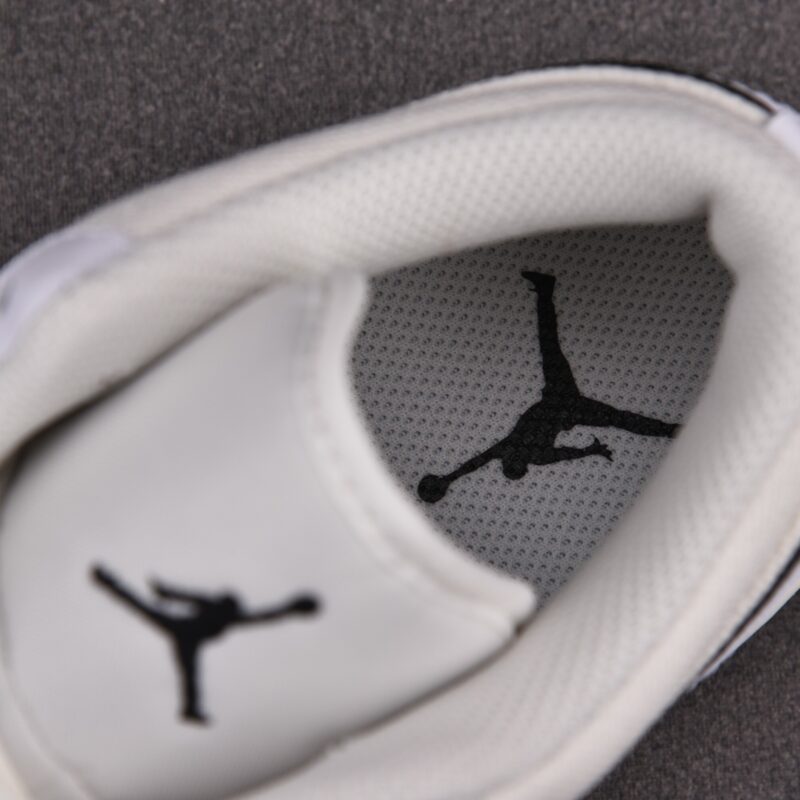 (BEST) Air Jordan 1 Low 'ASTROGRABBER'