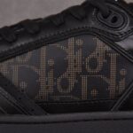 (BEST) Dior B27 Low 'Oblique - Black Gum'