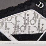 (BEST) Dior B27 Low White Dior Oblique & Black Elephant