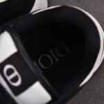 (BEST) Dior B27 Low White Dior Oblique & Black Elephant