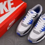 (BEST) Nike Air Max 90 'HYPER ROYAL'