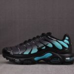 (BEST) Nike Air Max Plus 'BLACK DUSTY CACTUS'