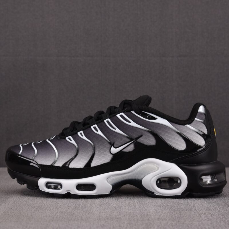 (BEST) Nike Air Max Plus 'BLACK METALLIC SILVER'