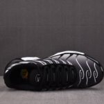 (BEST) Nike Air Max Plus 'BLACK METALLIC SILVER'