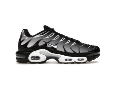 (BEST) Nike Air Max Plus 'BLACK METALLIC SILVER'