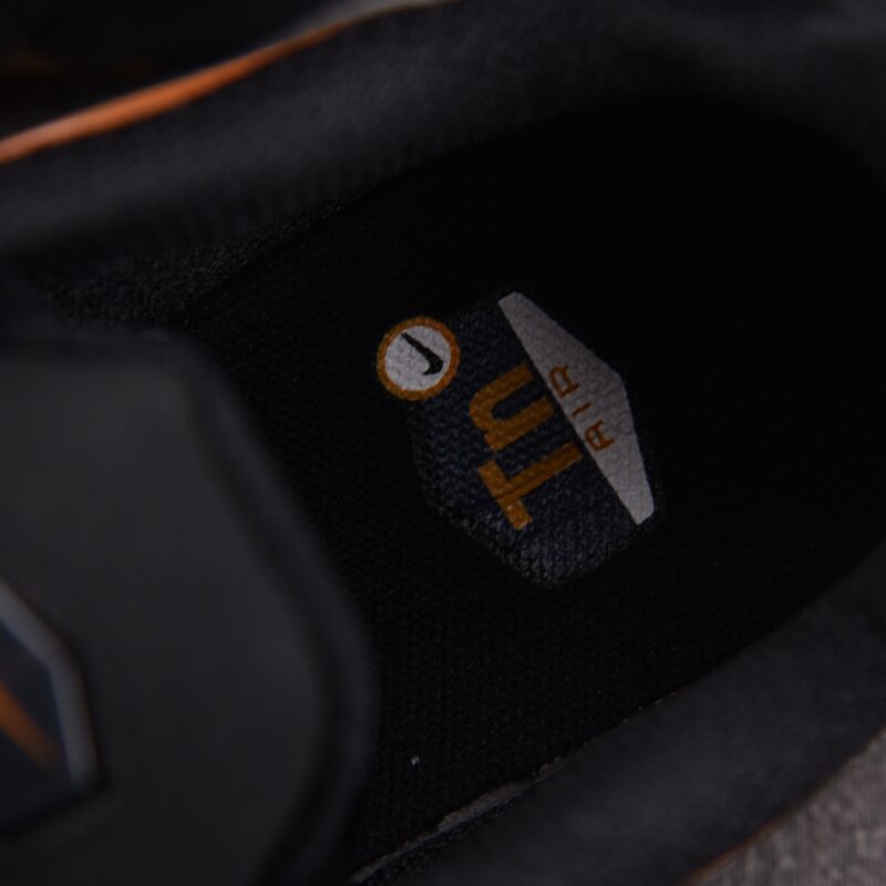 (BEST) Nike Air Max Plus 'DARK OBSIDIAN MONARCH'