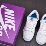(BEST) Nike Dunk Low Pro SB 'LASER BLUE'