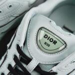 (BEST) Stone Island x Dior B30 Sneaker 'LIGHT GREEN'