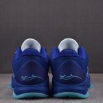 (BEST) Kobe 5 Protro 'X-RAY'