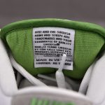 (BEST) Nike SB Dunk Low Pro 'CHLOROPHYLL'