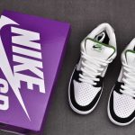 (BEST) Nike SB Dunk Low Pro 'CHLOROPHYLL'