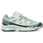 Kith x Salomon XT-6 GORE-TEX 'Trellis Ponderosa Pine'