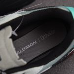 Salomon X-ALP LTR 'Green Milieu'