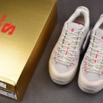 Salomon X-ALP PANHUI 'Vanilla Ice'