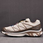 Salomon XT-6 Almond 'Milk Portabella'