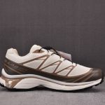 Salomon XT-6 Almond 'Milk Portabella'