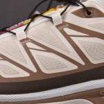 Salomon XT-6 Almond 'Milk Portabella'