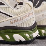 Salomon XT-6 Expanse Canvas