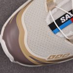 Salomon XT-6 'Vanilla Ice Iron Etherea'