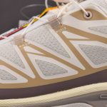 Salomon XT-6 'Vanilla Ice Iron Etherea'