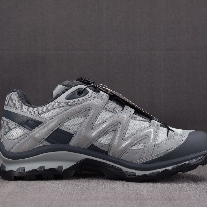 Salomon XT-Quest GTX 'Gray'
