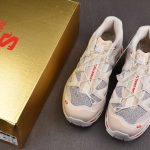 Salomon XT-Quest PANHUI 'Vanilla Ice'