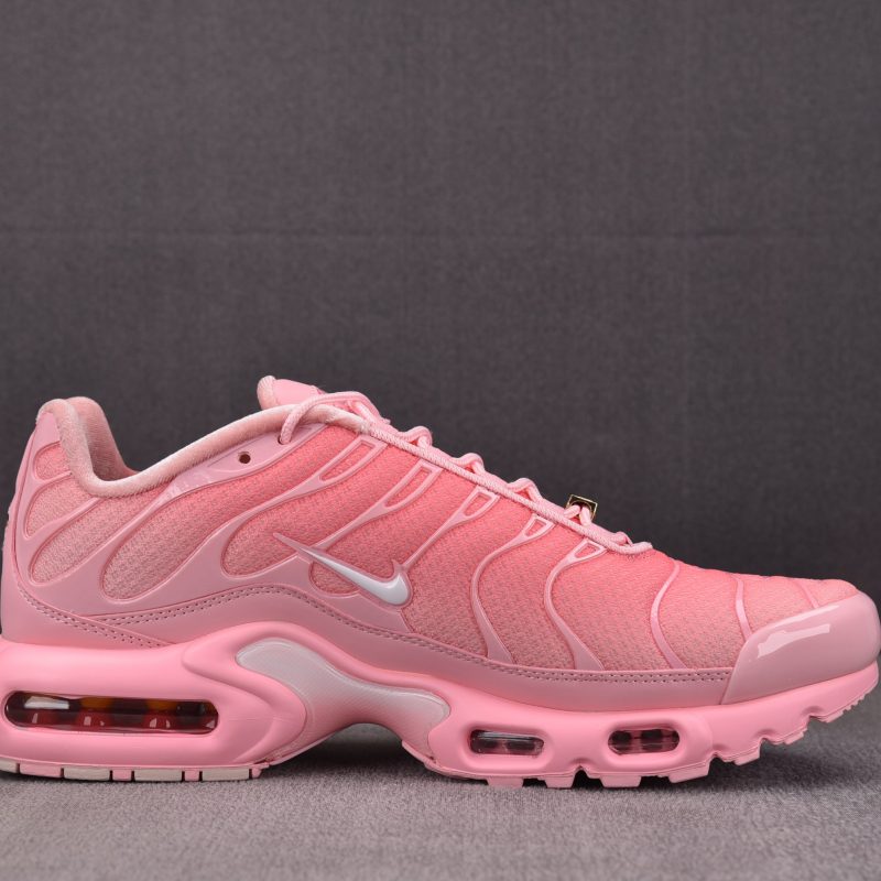 Nike Air Max Plus Wmns 'City Special Atlanta'