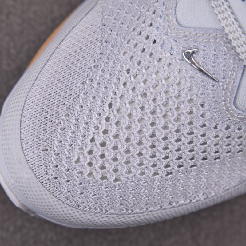 Nike Air Zoom Pegasus Premium 'Airscape'