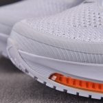 Nike Air Zoom Pegasus Premium 'Airscape'