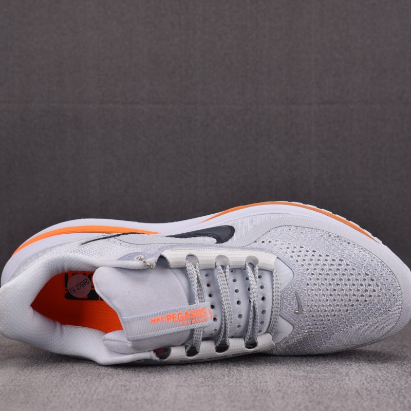 Nike Air Zoom Pegasus Premium 'Airscape'