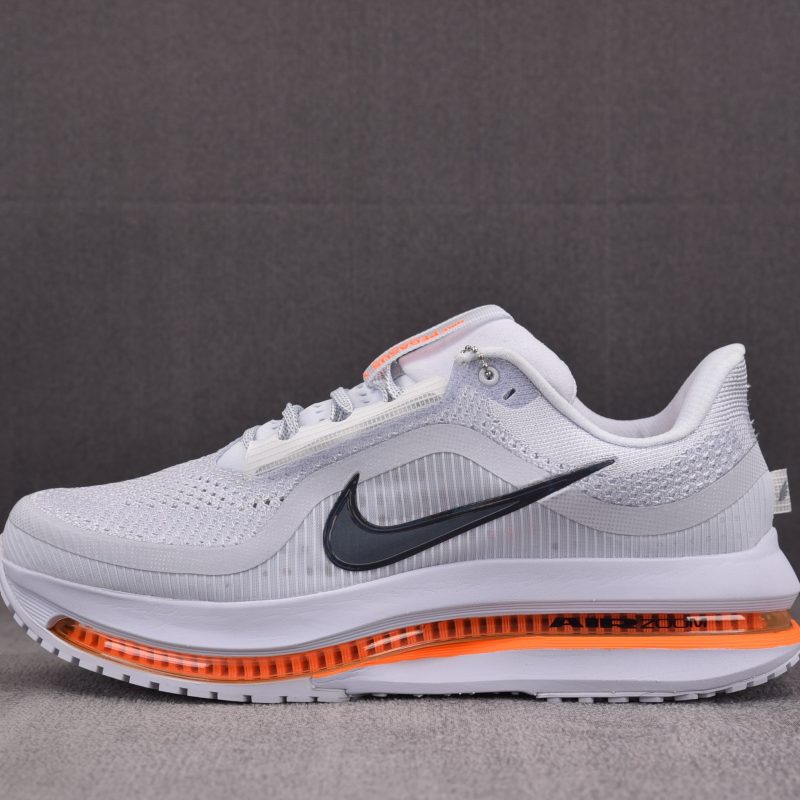Nike Air Zoom Pegasus Premium 'Airscape'