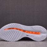 Nike Air Zoom Pegasus Premium 'Airscape'