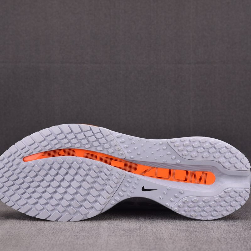 Nike Air Zoom Pegasus Premium 'Airscape'