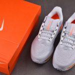 Nike Air Zoom Pegasus Premium 'Airscape'