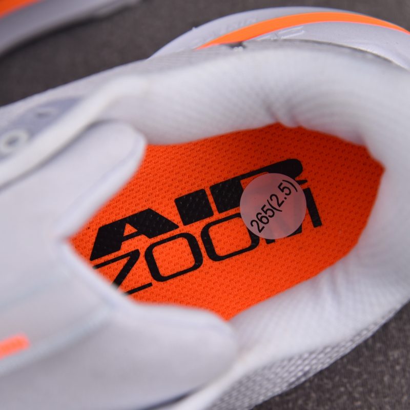 Nike Air Zoom Pegasus Premium 'Airscape'