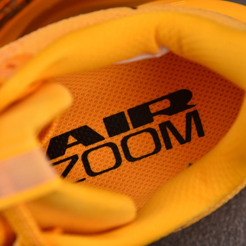 Nike Air Zoom Pegasus Premium 'Modern Mayfly'