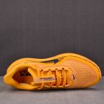 Nike Air Zoom Pegasus Premium 'Modern Mayfly'