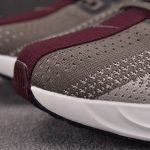 Nike ZoomX Pegasus Plus 'Brown Wine Red White'